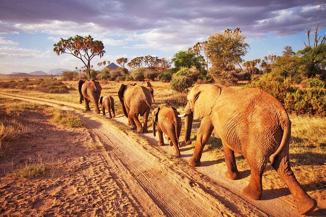 3 Days Tsavo East and Tsavo West Mombasa Safari