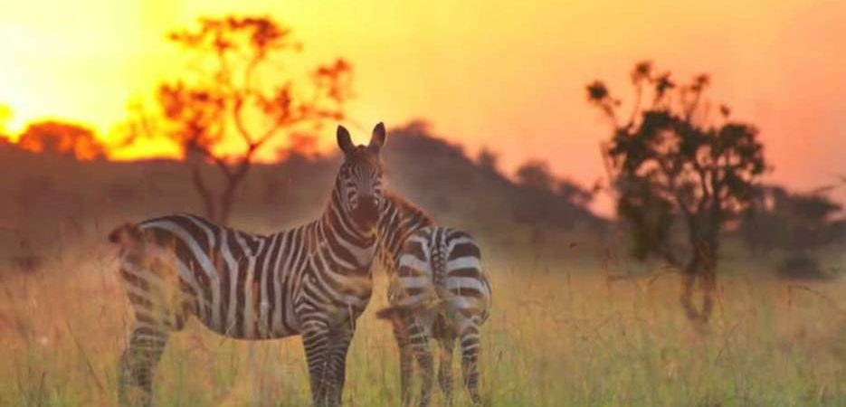 Kidepo Valley National Park
