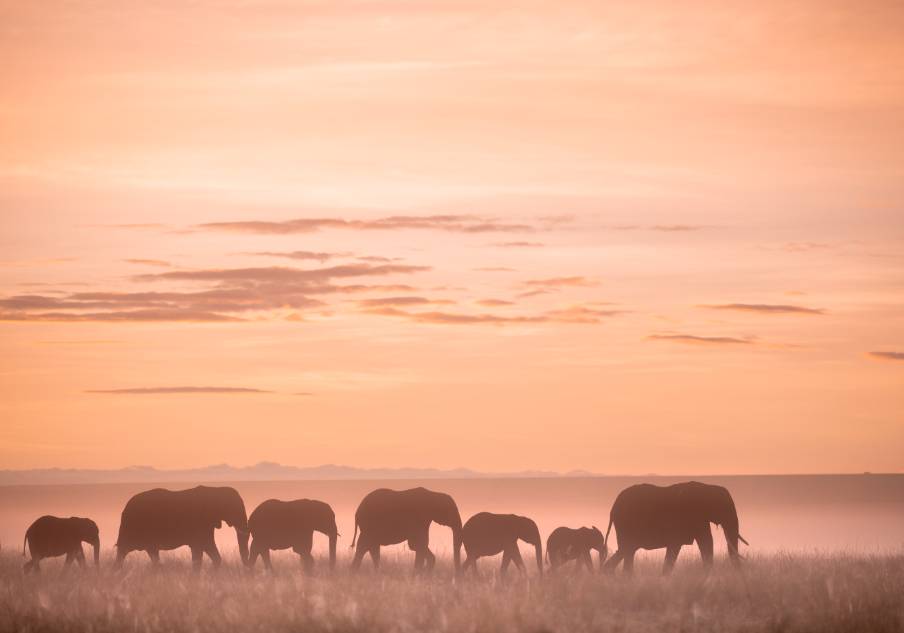 4 Days Masai Mara Safari