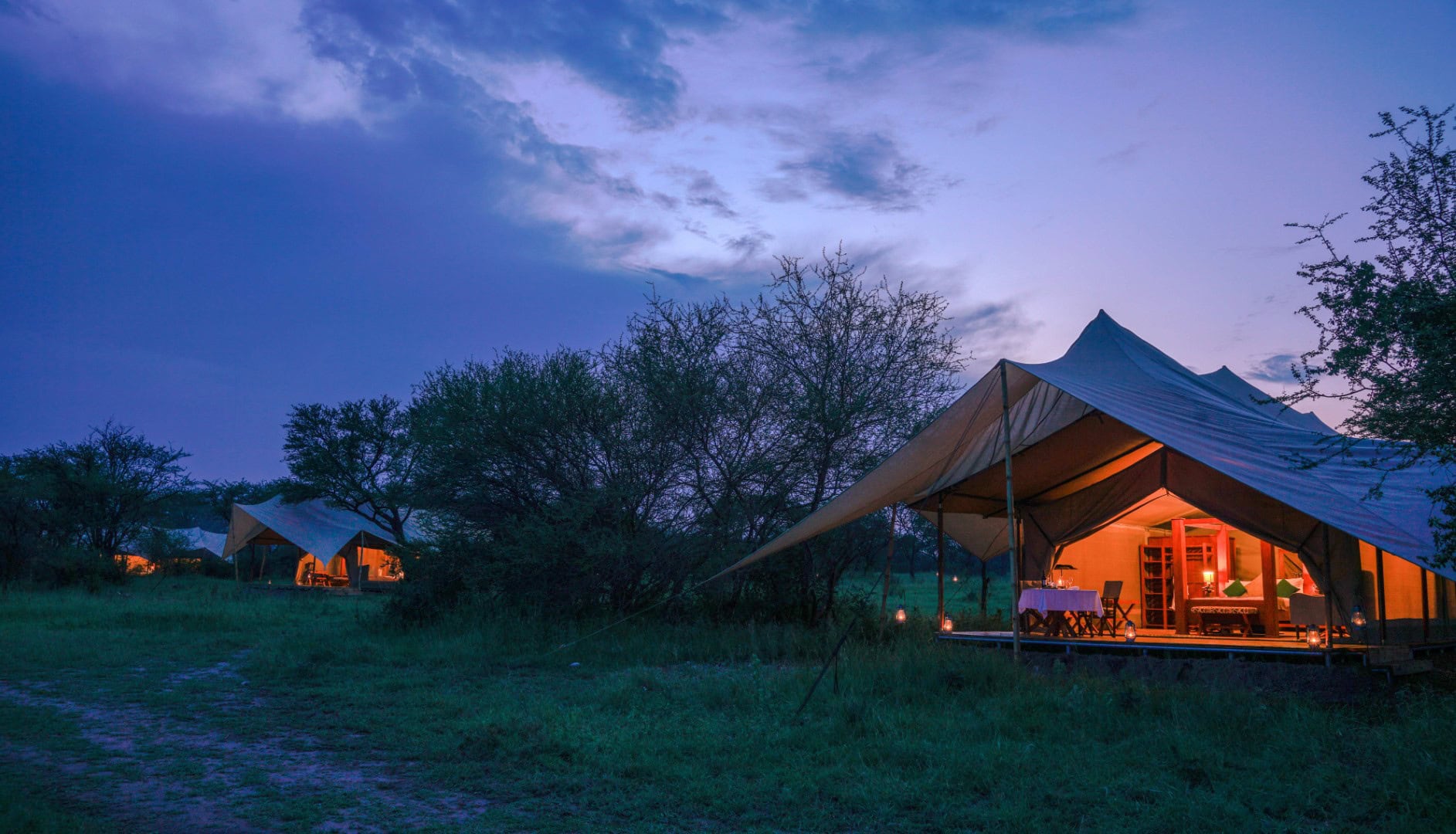Wildebeests Crossing the Grumeti River in Serengeti