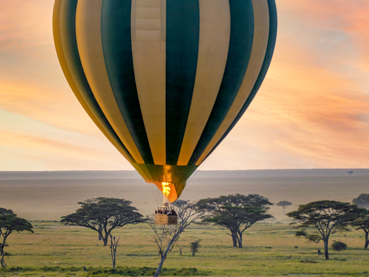 4 Days Migration River Crossings Safari