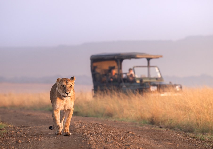 Masai Mara National Reserve