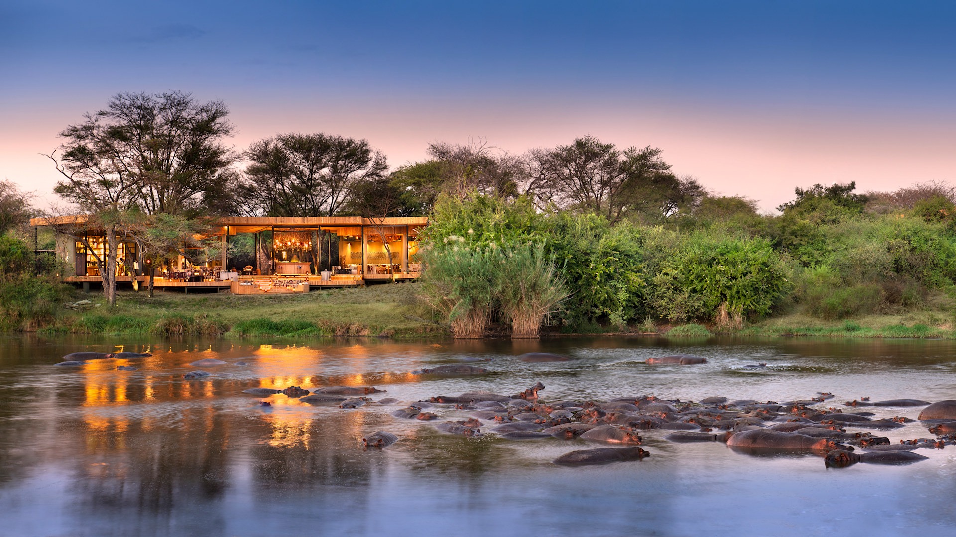 Wildebeests Crossing the Grumeti River in Serengeti