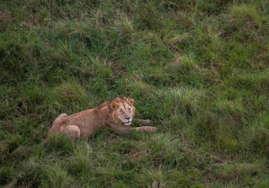 3 Days Masai Mara Safari