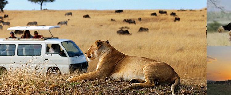 Kidepo Valley National Park