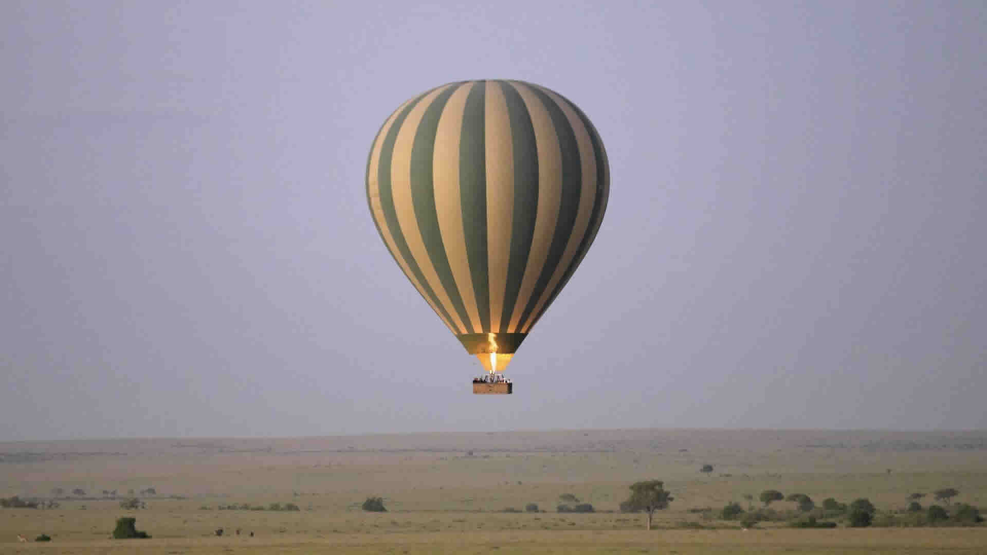 7 Days Kenya Uganda Rwanda Safari from Nairobi City.