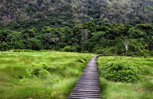 Semuliki National Park