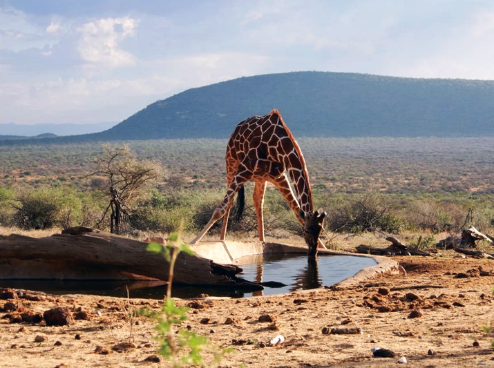 8 Days Samburu and Masai Mara Safari