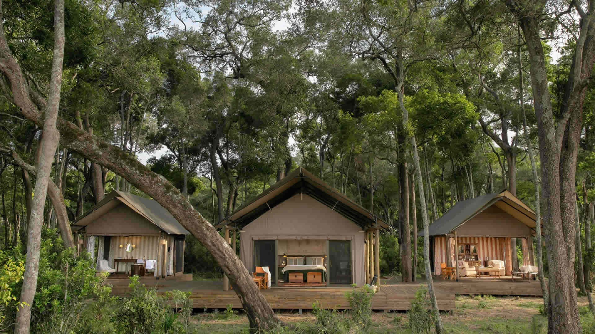 Paradise Plains, Masai Mara
