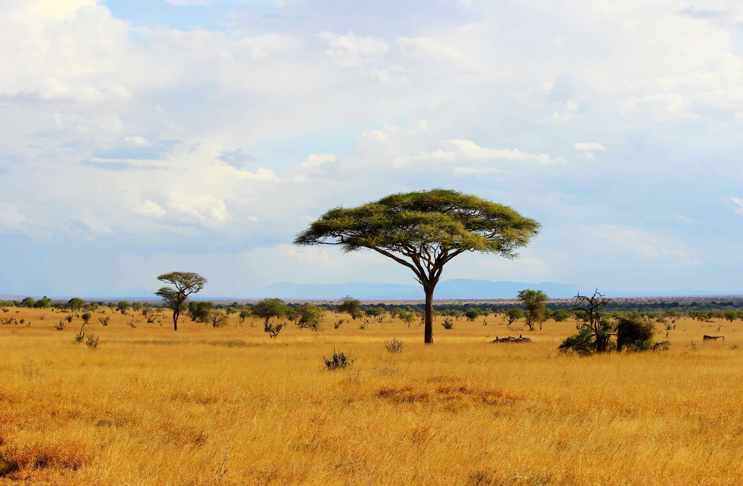3 Days Tsavo East and Tsavo West Mombasa Safari 