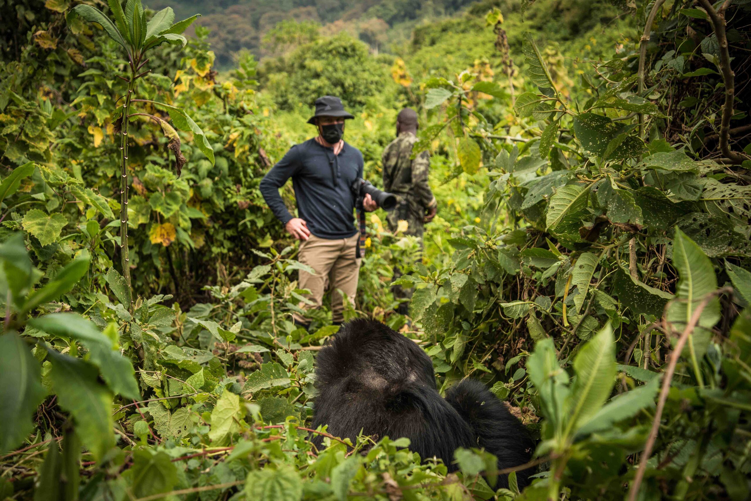 10 Days Luxury Rwanda Primates Safari