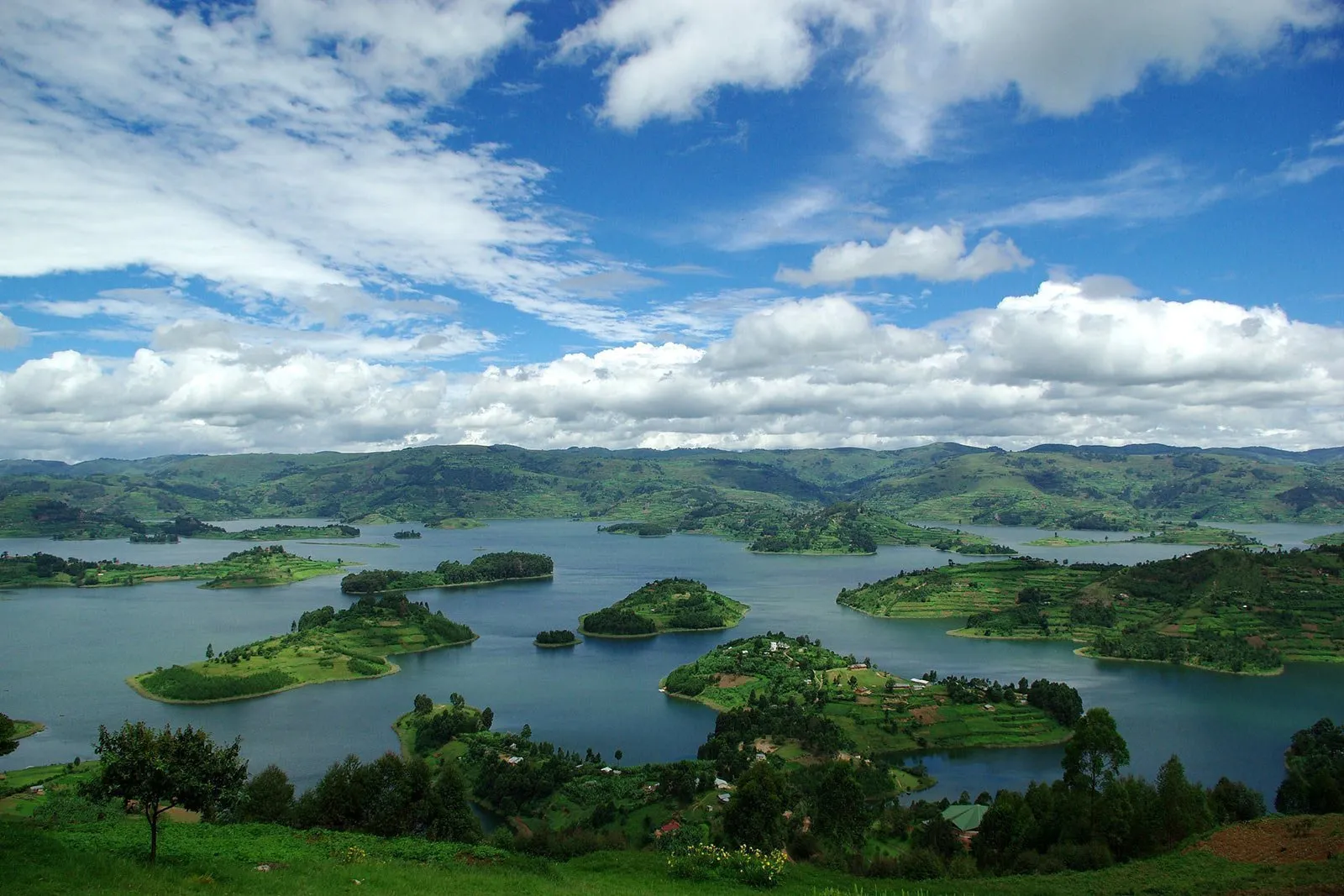 7 Days Uganda Safari