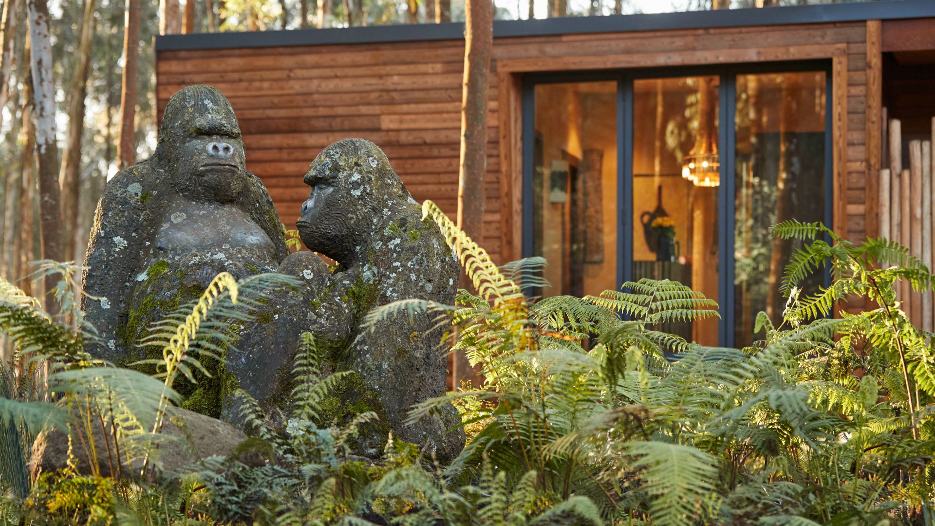 10 Days Luxury Rwanda Primates Safari