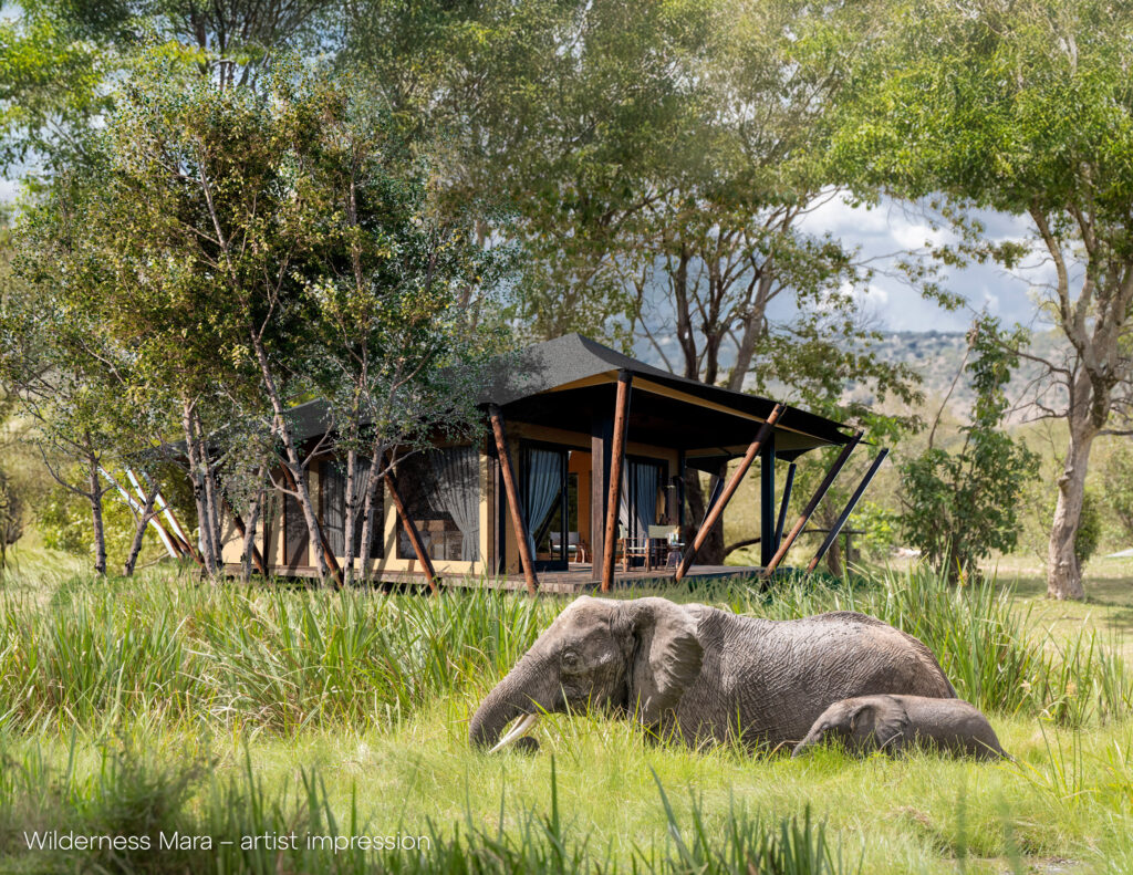 Wilderness Mara