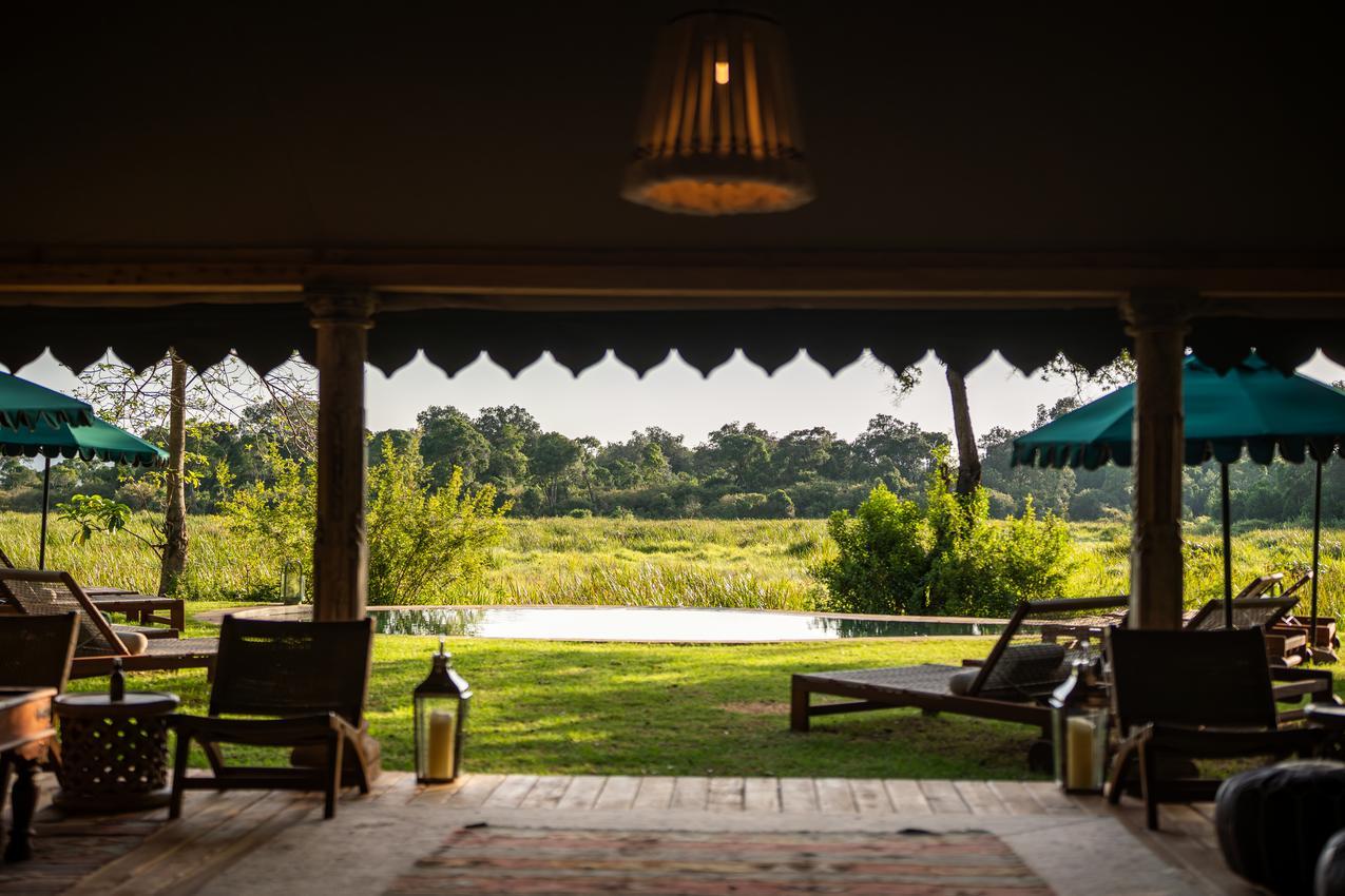 Wilderness Mara