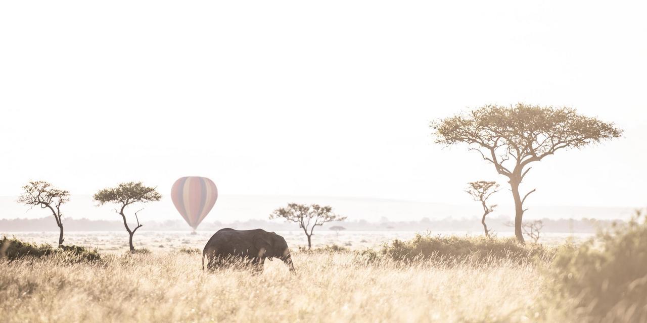 7 Days Masai Mara Family Safari with kids