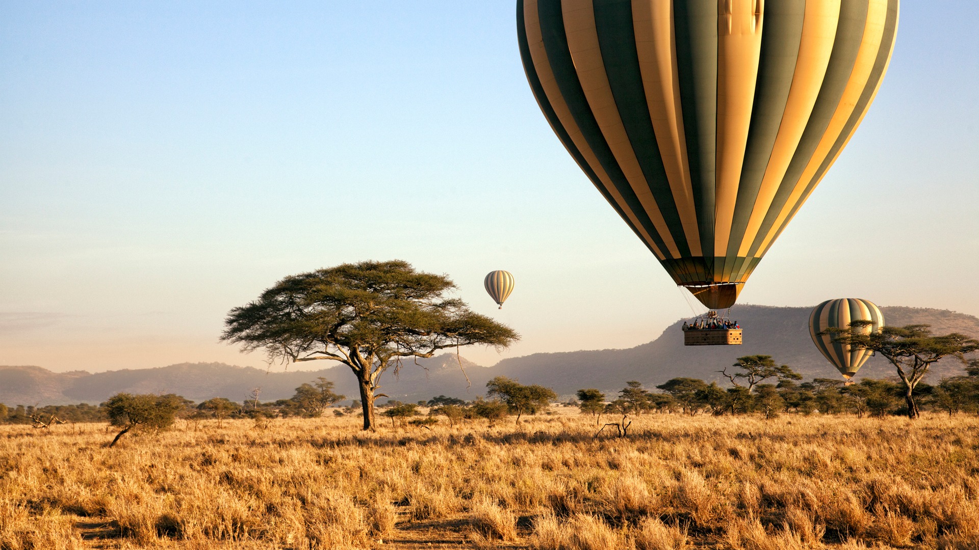 11 Days Romantic East Africa Safari