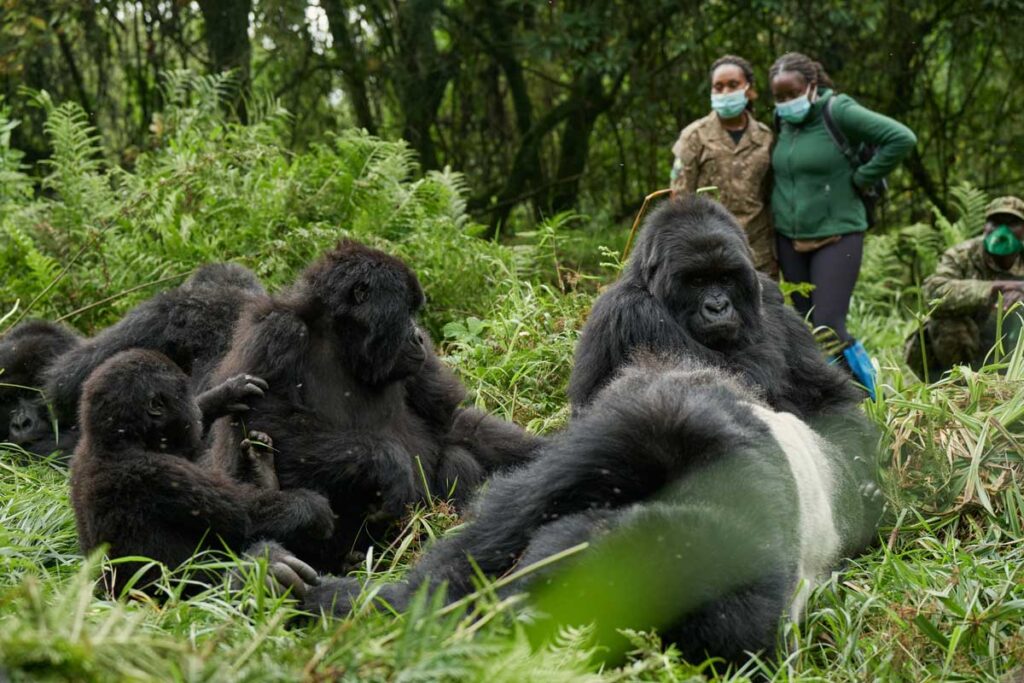 4 Days Rwanda & Culture Experience