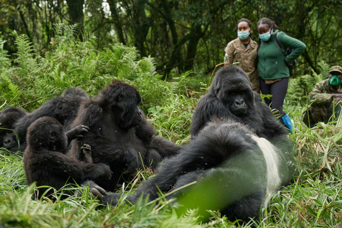 4 Days Rwanda & Culture Experience
