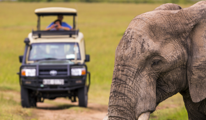 Masai Mara Conservancies